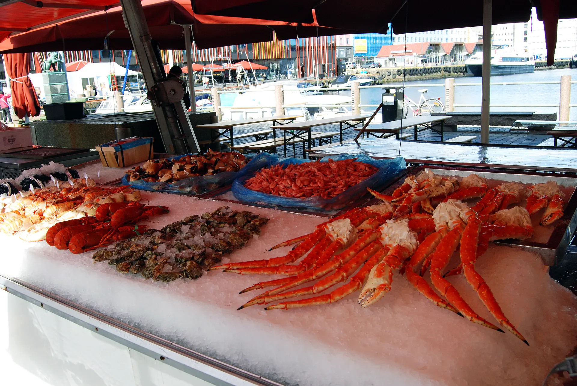 Puestos de mariscos frescos en el Mercado de Pescado de Bergen con los coloridos edificios de Bryggen y el puerto de fondo
