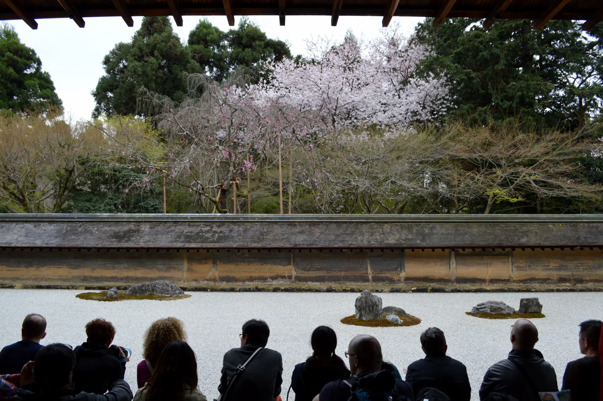 Siluetas de visitantes contemplativos viendo el completo jardín de rocas *Zen* de Ryōan-ji desde la plataforma tradicional, mostrando las quince piedras cuidadosamente dispuestas en grava blanca rastrillada