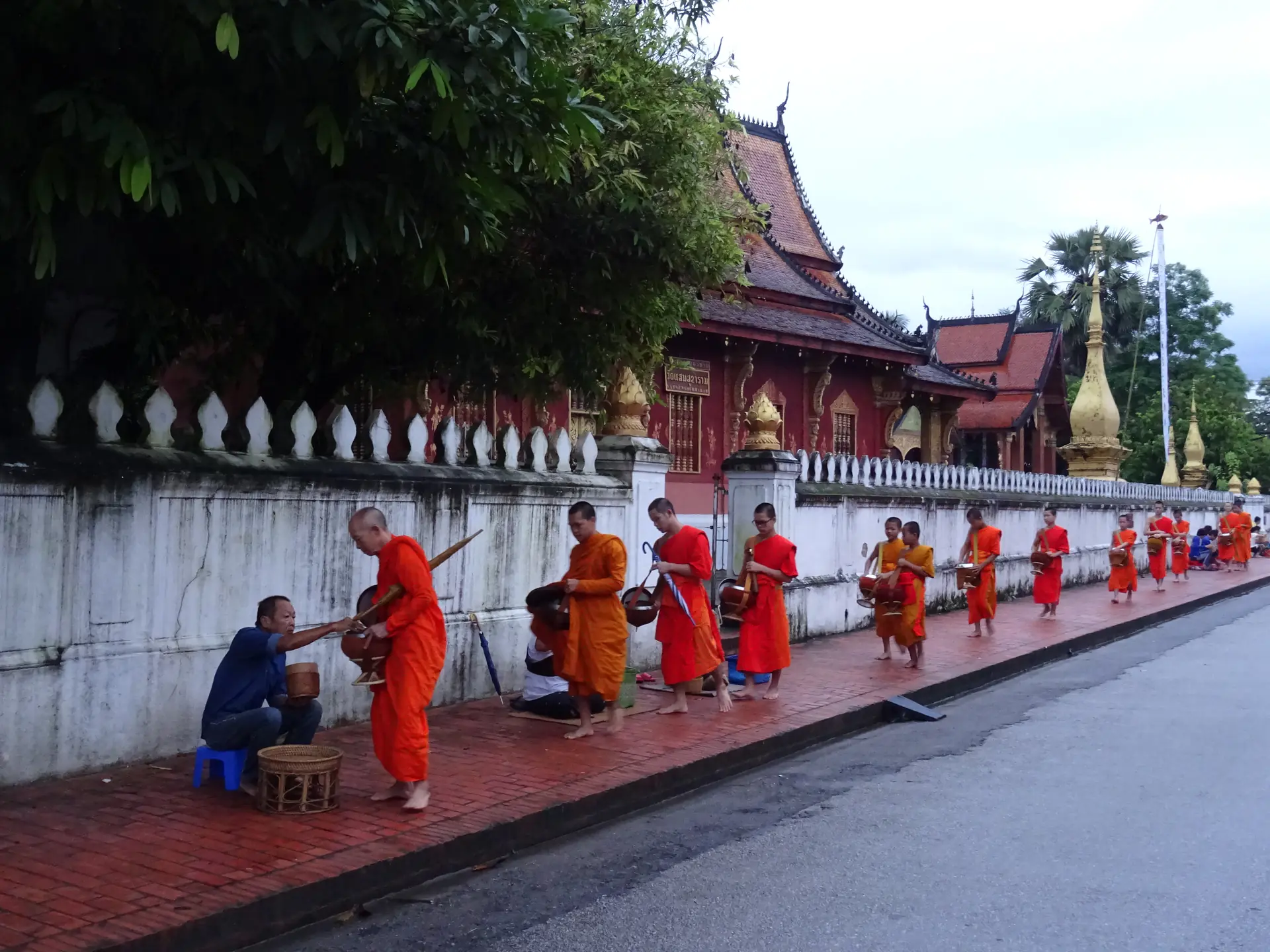 Monjes budistas en túnicas azafrán caminando en procesión durante la ceremonia de limosnas matutina mientras devotos se arrodillan ofreciendo comida en Luang Prabang