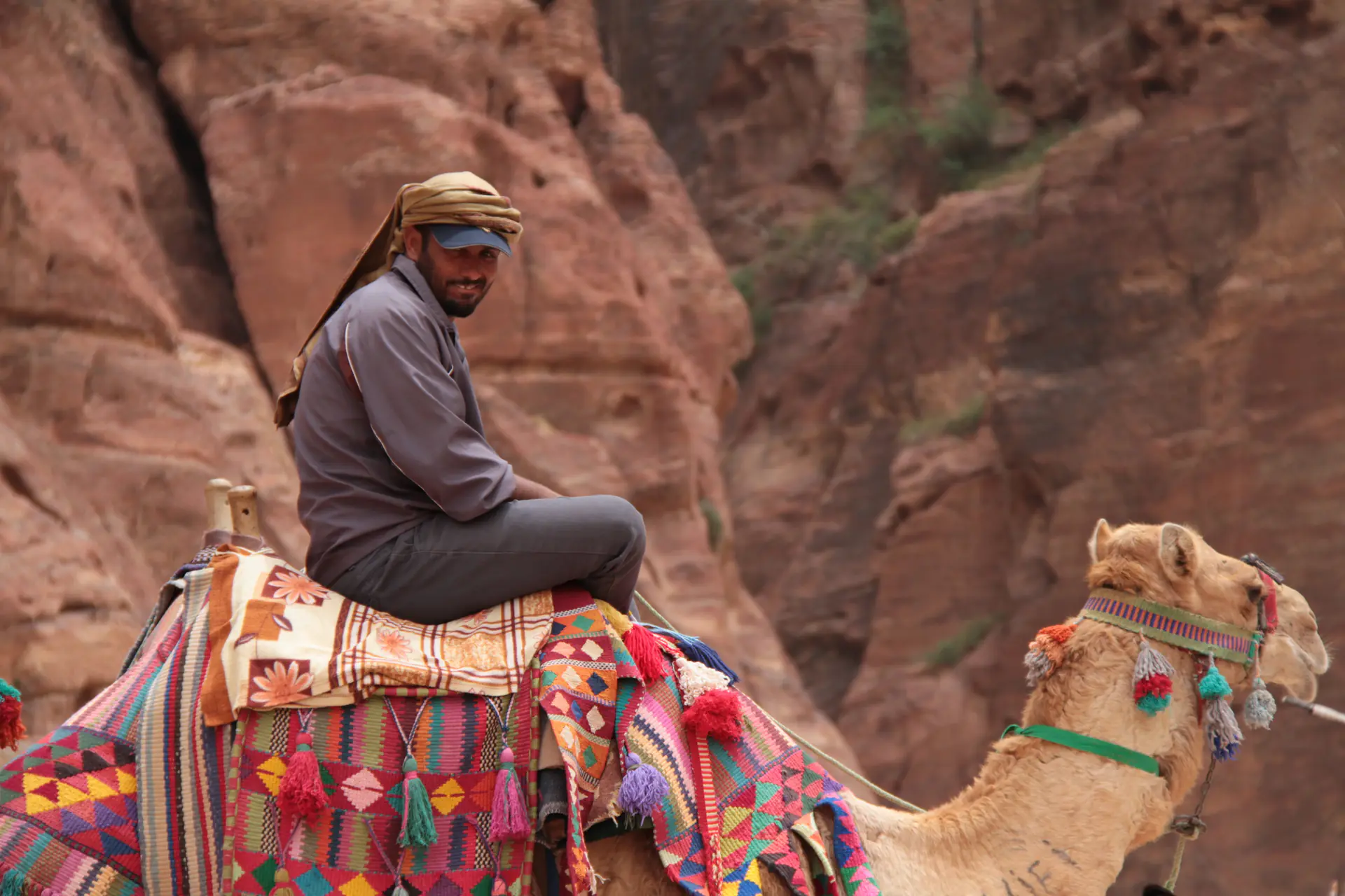Bedouin man riding a camel through the landscape of Petra, representing the continuous living cultural heritage and traditional practices of the region