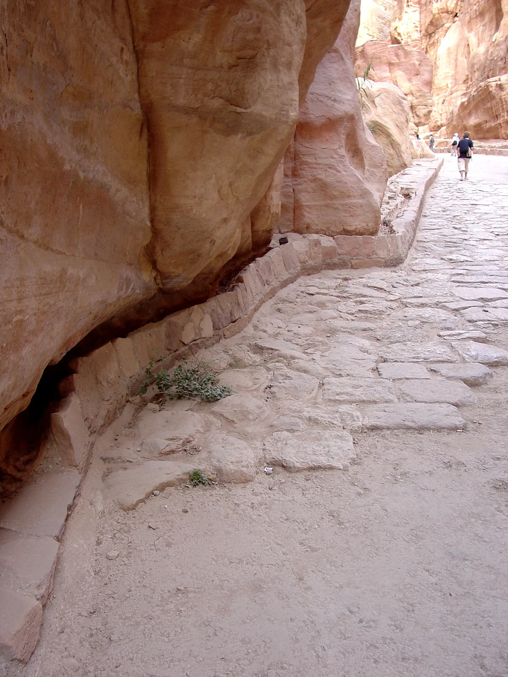 Nabataean water channels carved into rock walls showing the hydraulic engineering system that supplied water to Petra