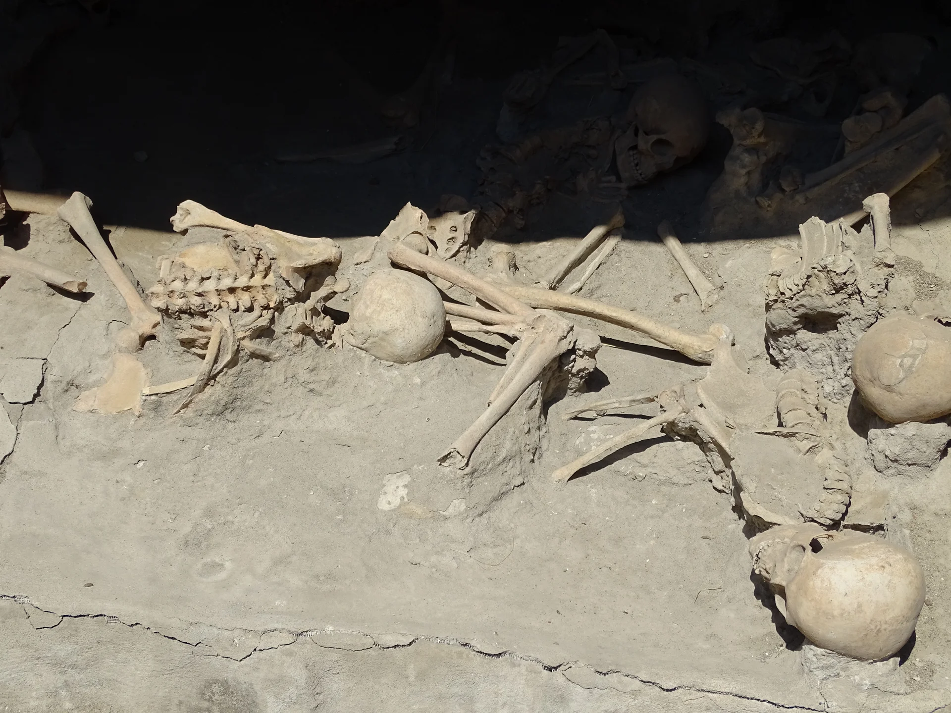 Archaeological remains showing human skeletons in the boat house chambers where people sought shelter during the Vesuvius eruption