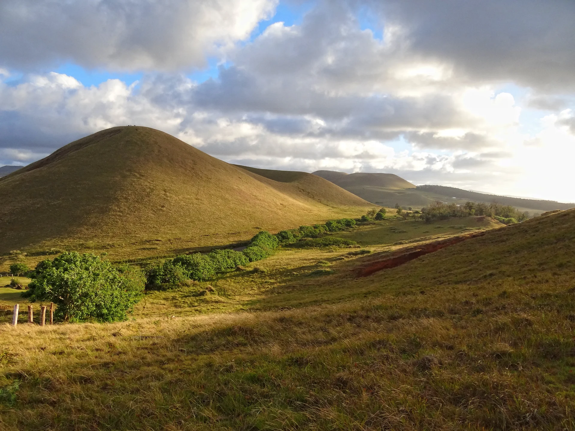 Extenso paisaje de praderas de Rapa Nui con estatuas *moai* dispersas por las colinas onduladas