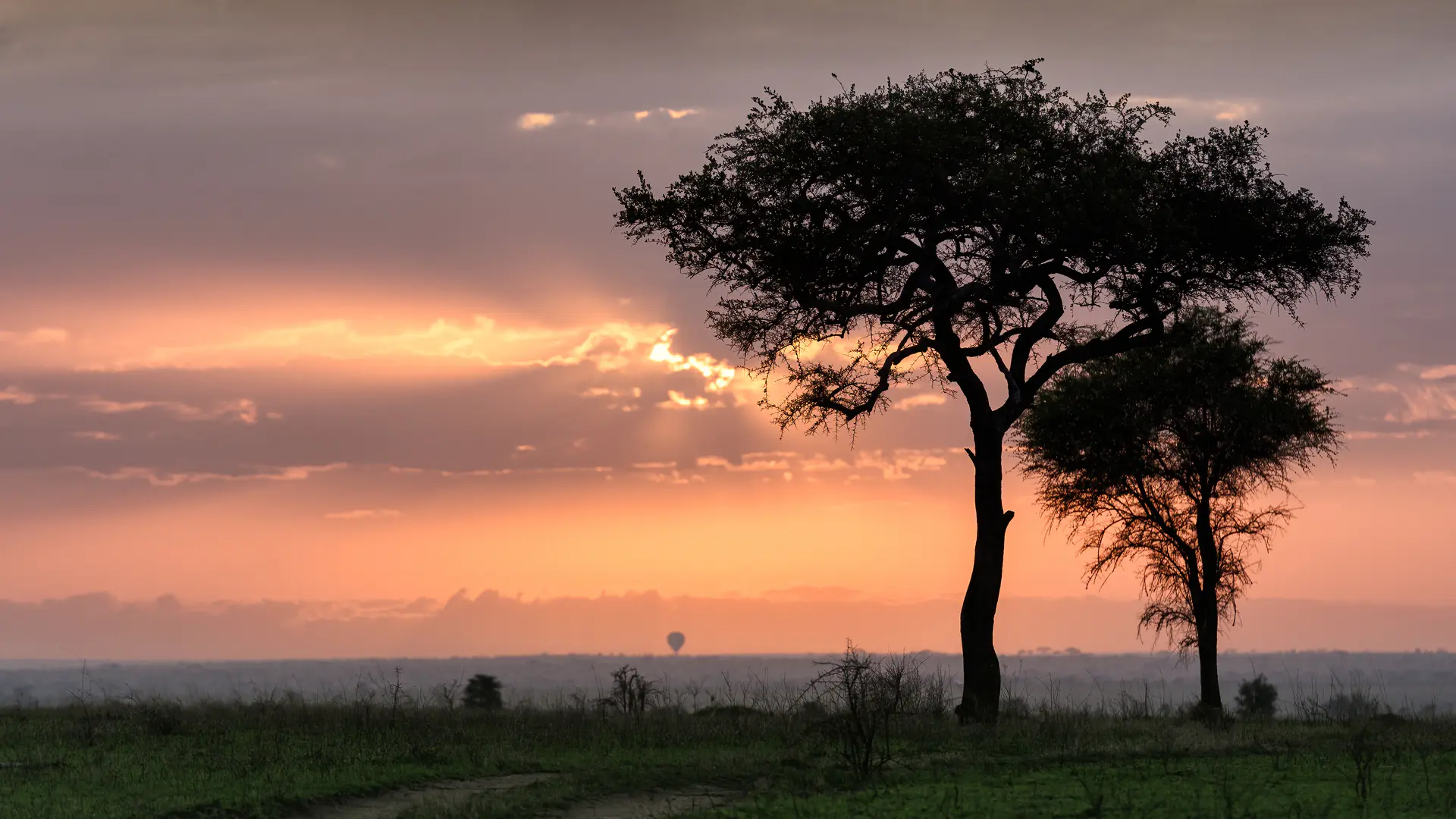 Golden sunrise over Serengeti National Park with iconic acacia trees and hot air balloon in the distance