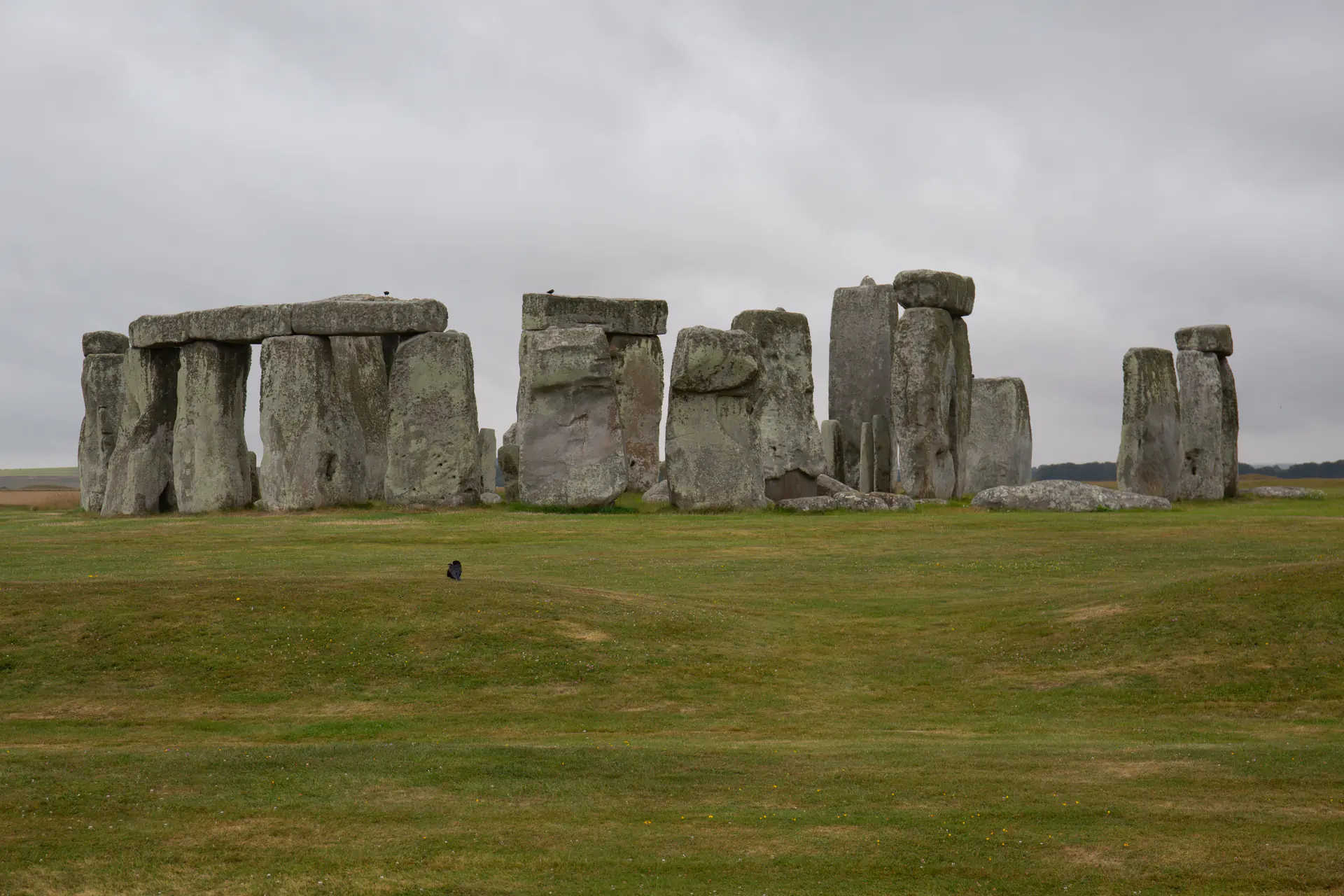 Monumento prehistórico de Stonehenge mostrando el icónico círculo de piedras y trilitos en la Llanura de Salisbury con iluminación equilibrada de la tarde