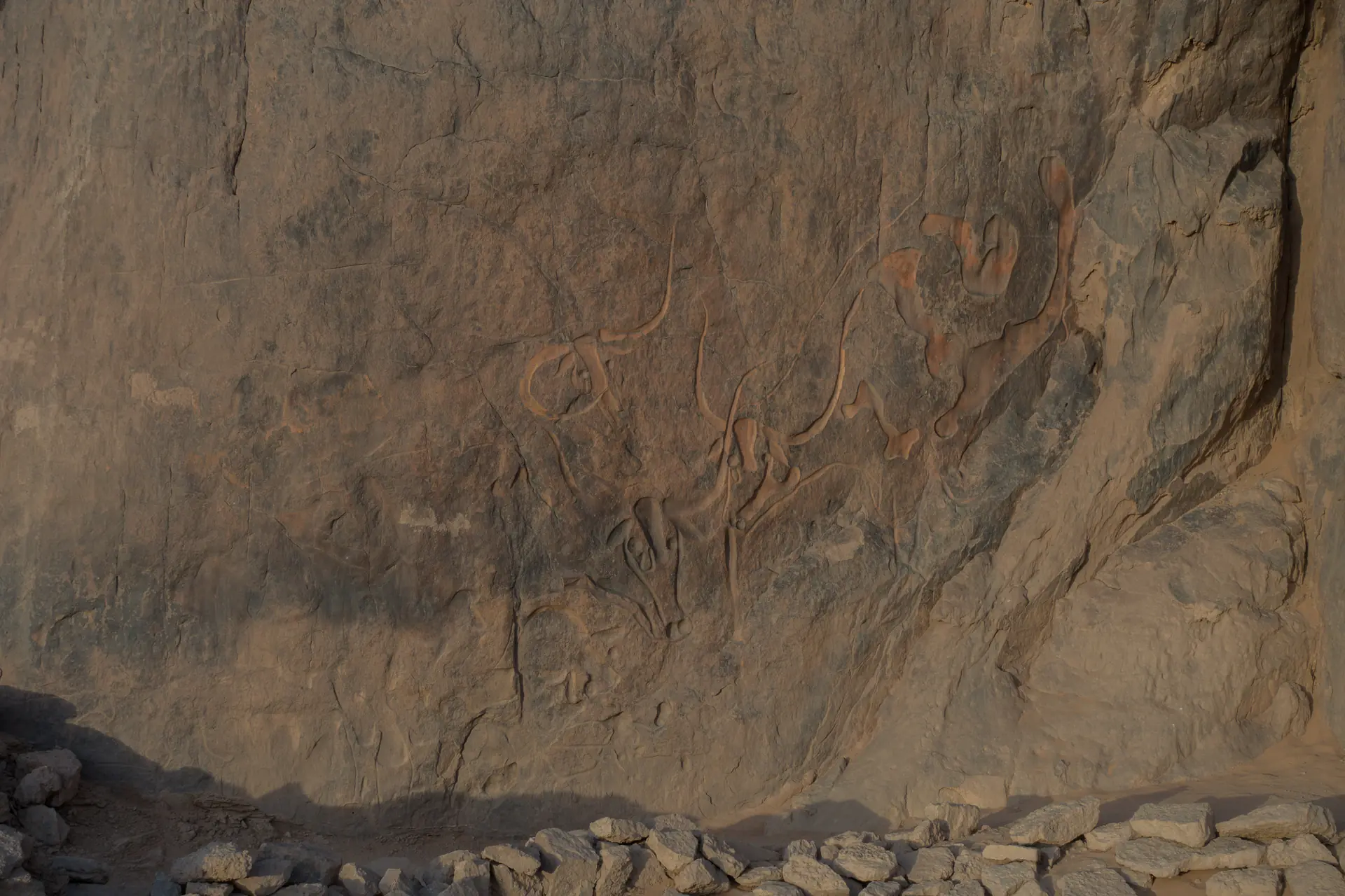 Arte rupestre prehistórico que representa la famosa vaca llorando de Taghrirt con grabados detallados que muestran las características distintivas del animal y sus lágrimas