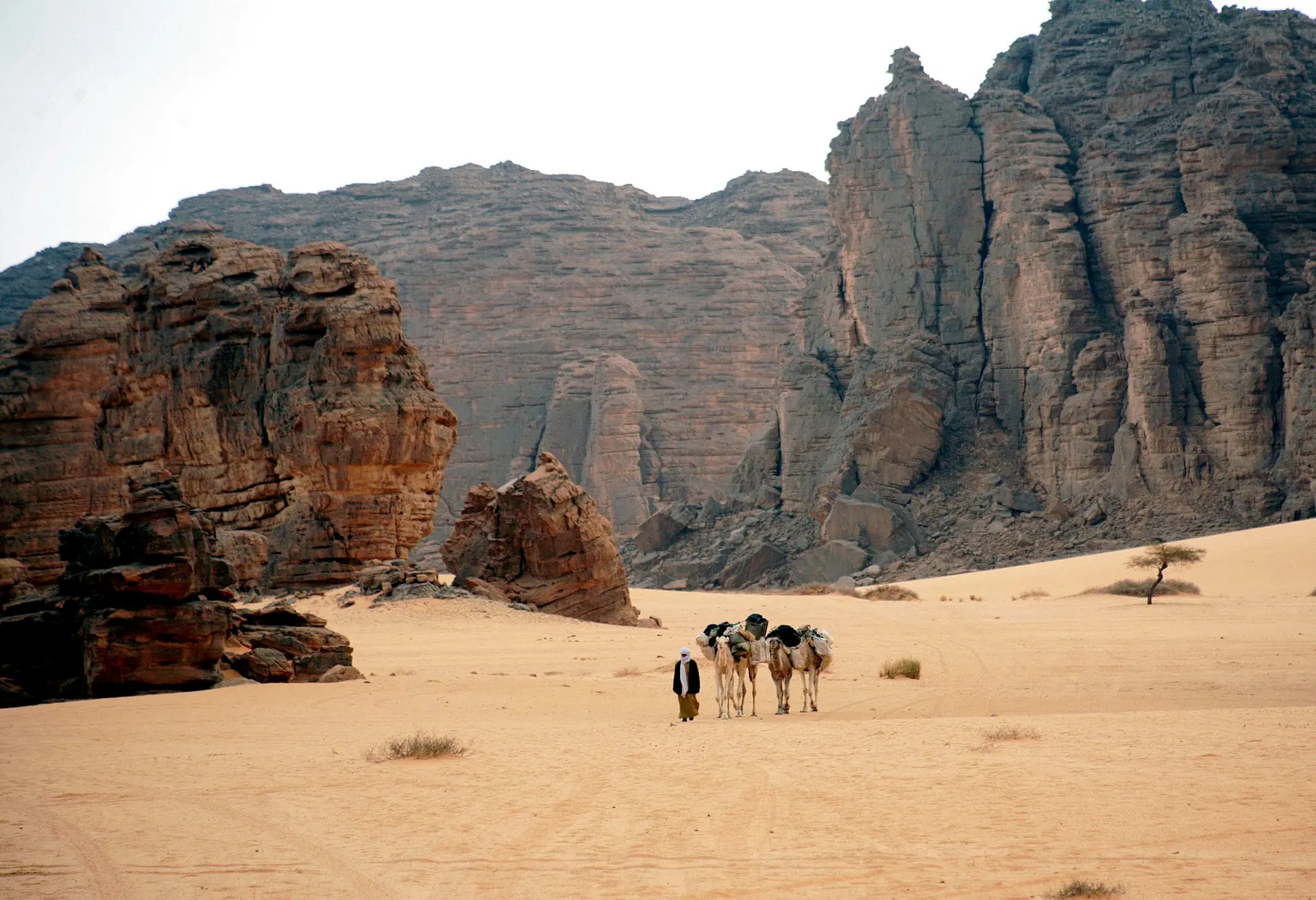 Paisaje desértico expansivo de Tassili n'Ajjer con formaciones de arenisca rojiza y vegetación escasa bajo un cielo dramático