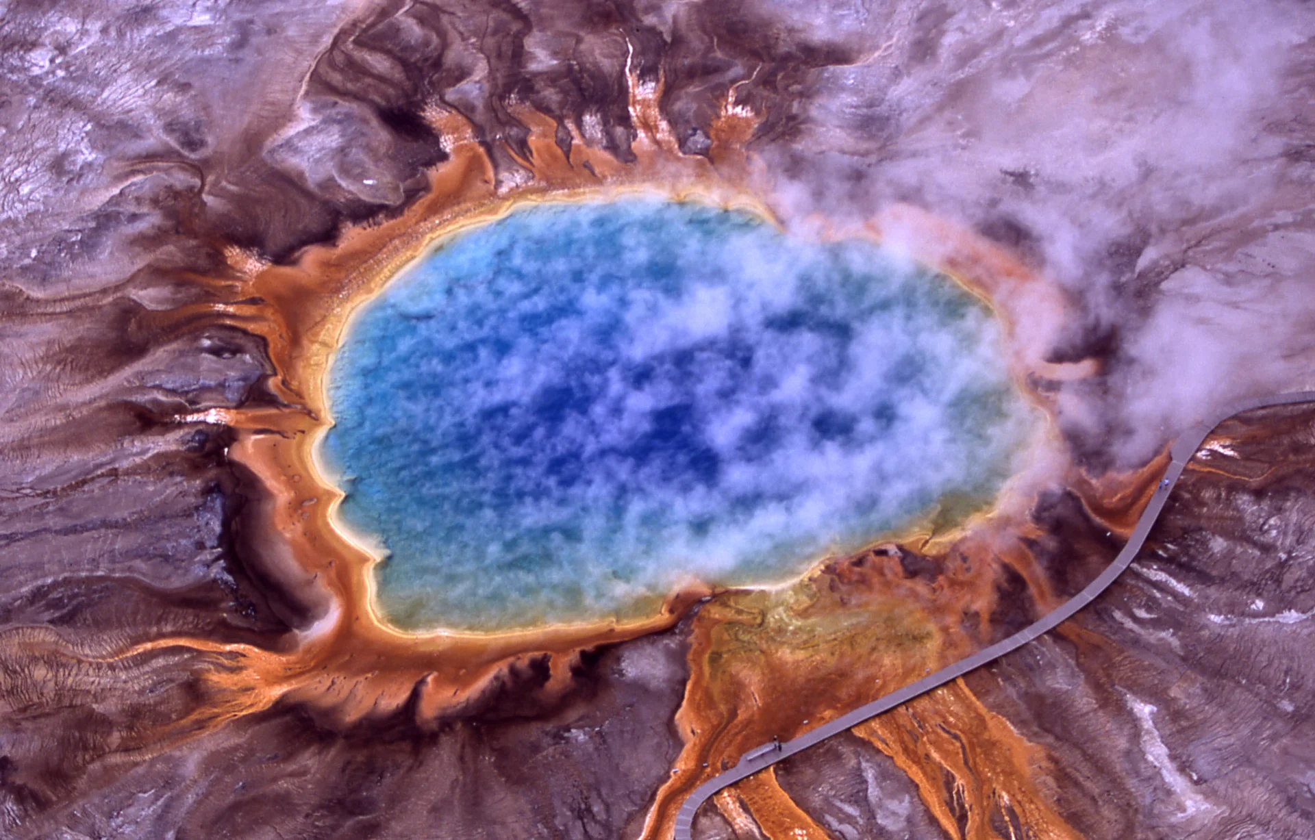 Vista a nivel del suelo de Grand Prismatic Spring mostrando los vibrantes tapetes bacterianos naranjas y amarillos que rodean la fuente termal azul profundo con vapor elevándose en el aire