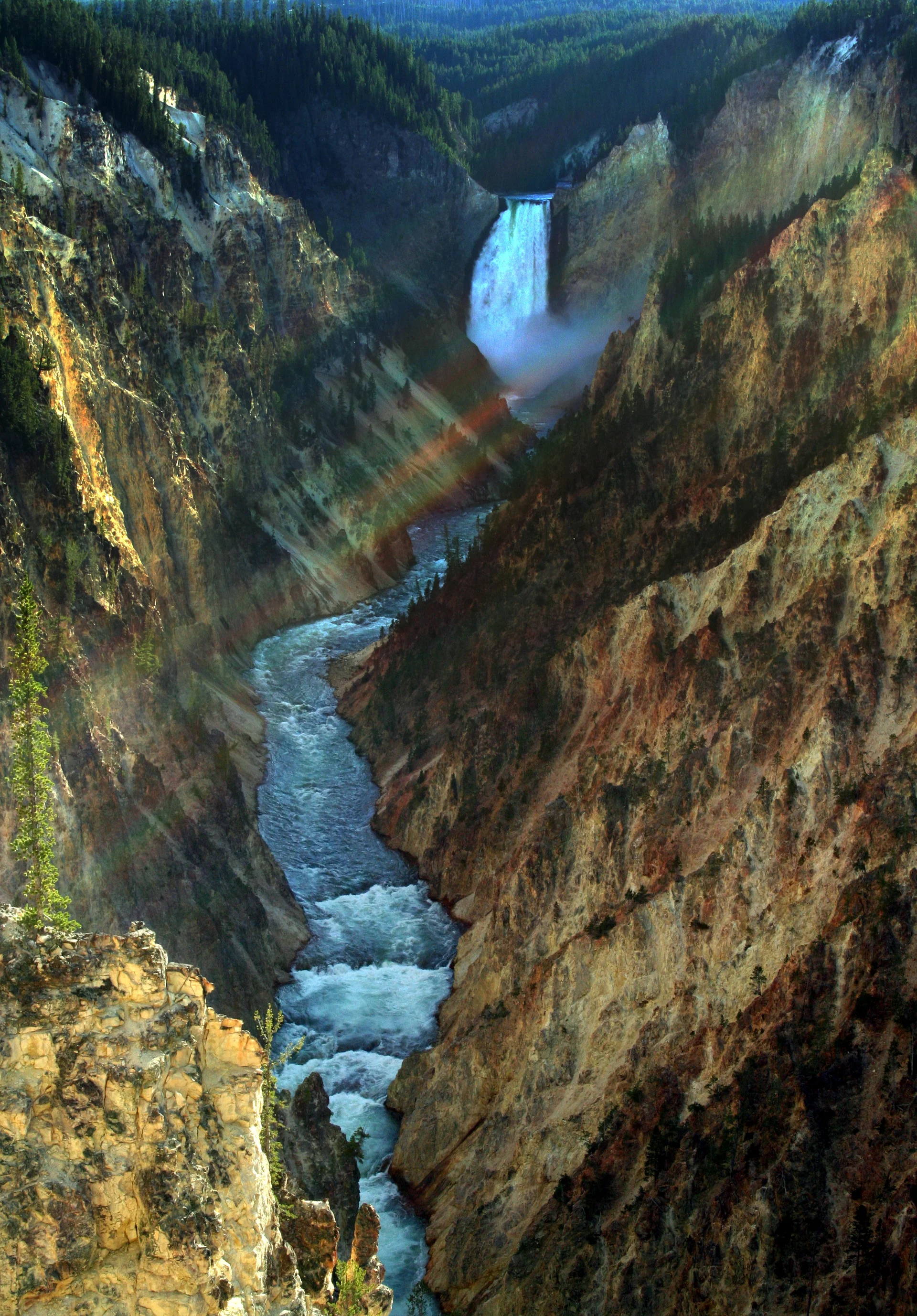 Las dramáticas Cataratas Inferiores de Yellowstone precipitándose en las paredes del cañón amarillo y naranja, rodeadas de bosque de coníferas con neblina elevándose de la poderosa cascada