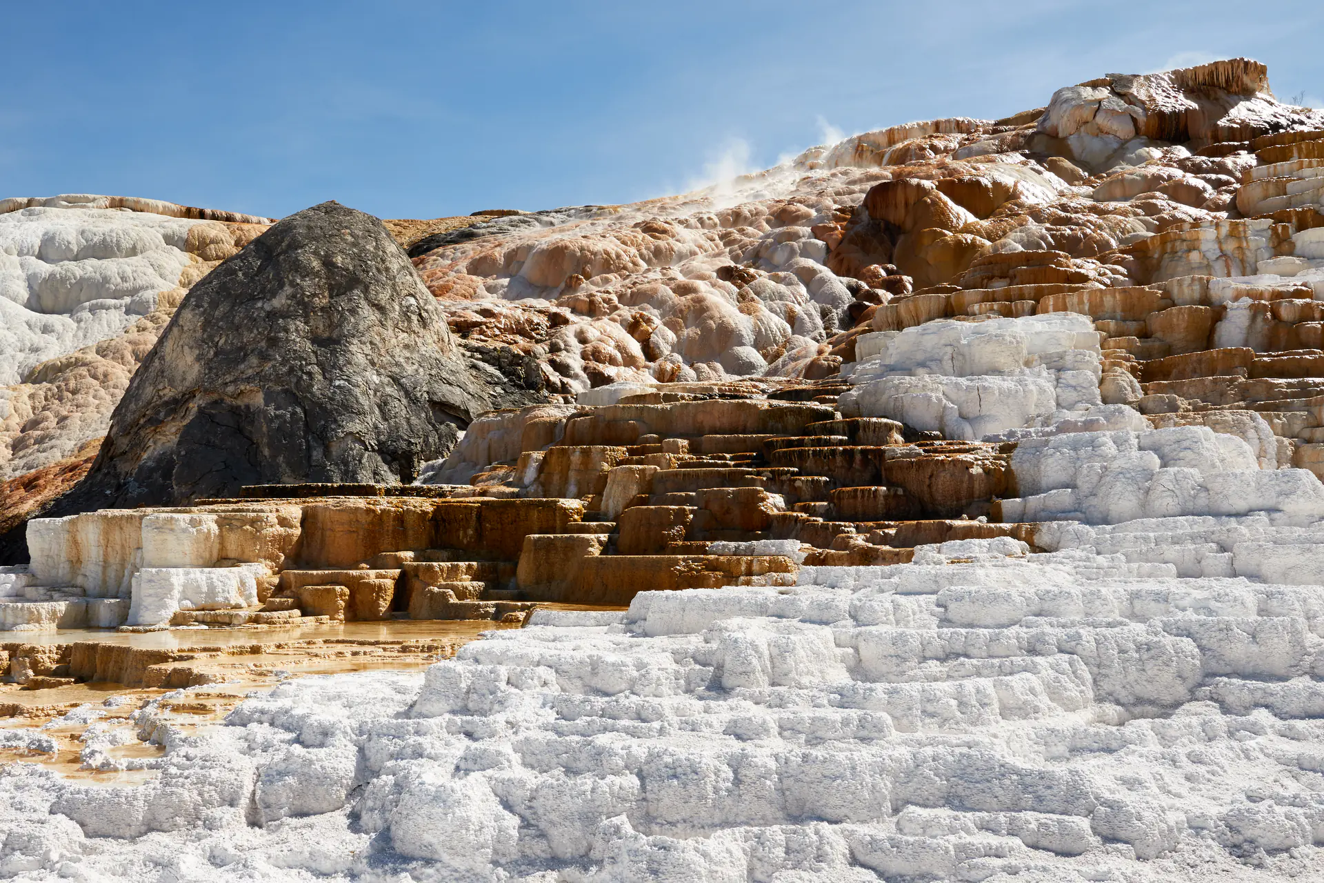 Terrazas de travertino blanco y naranja de Mammoth Hot Springs en cascada colina abajo con vapor elevándose del agua caliente que fluye sobre las formaciones minerales